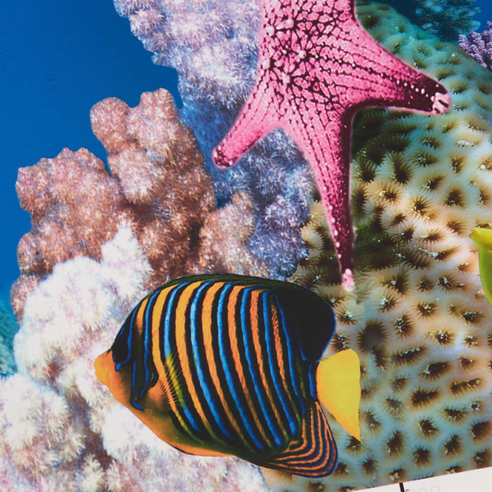 Fish In Aquarium Picture - ABWR-Kertas Latar Belakang Akuarium Gambar HD