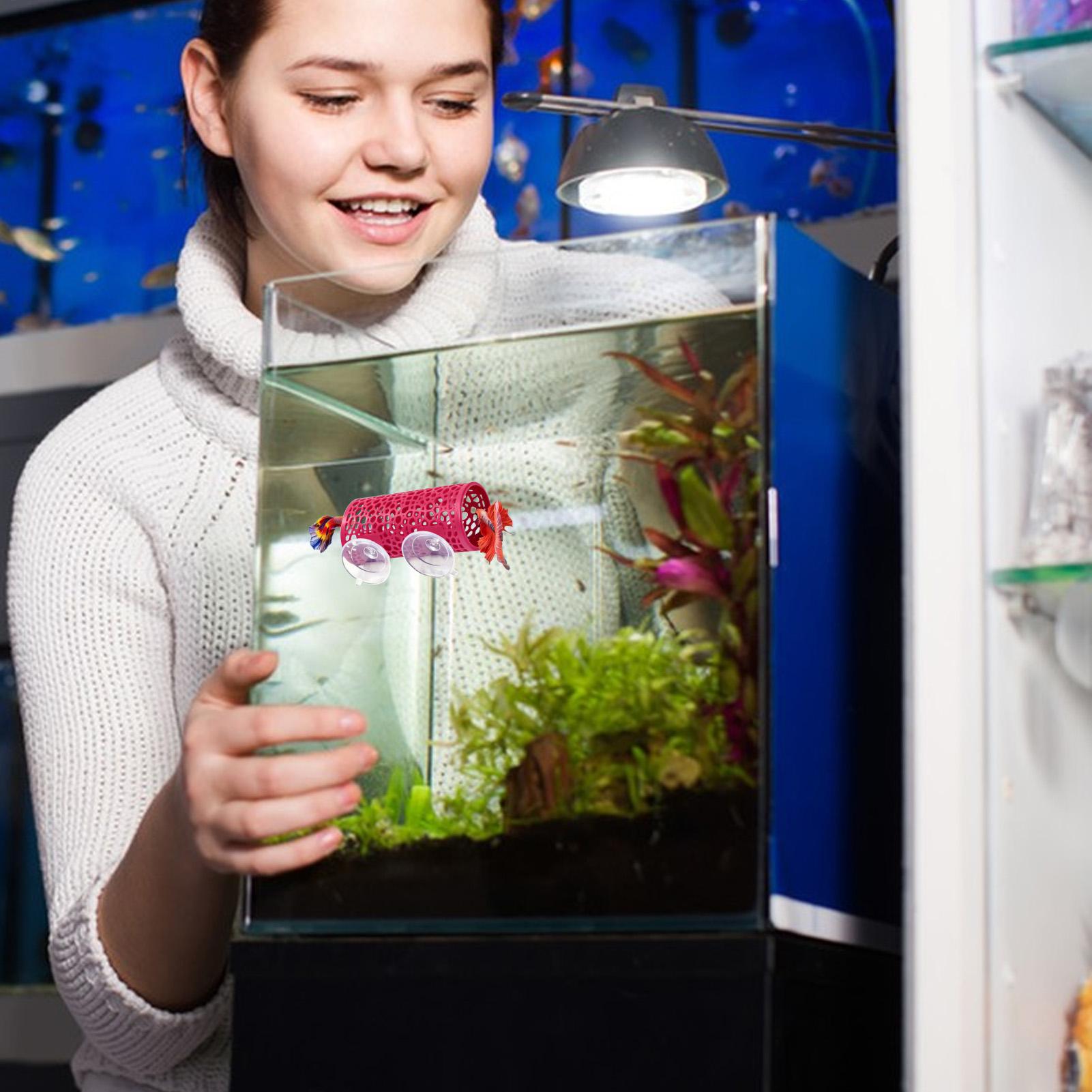 Fish Toy In Aquarium - Tempat Persembunyian Ikan Betta, Ornamen Terowongan