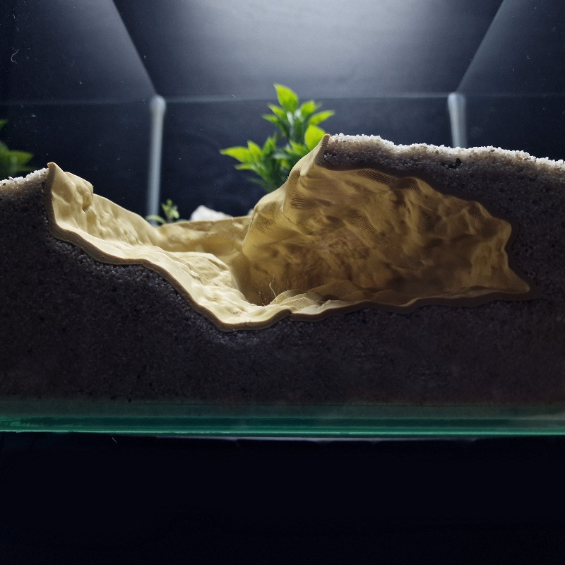 Aquarium Fish Games - Tempat Persembunyian Hewan Peliharaan dari Batu