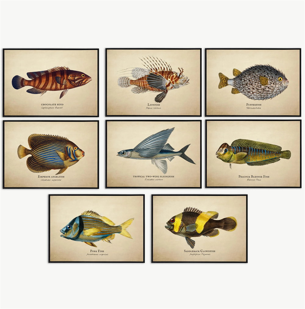 Fish In Aquarium Picture - Gambar Vintage Ikan Tropis Ubur-ubur Kerang