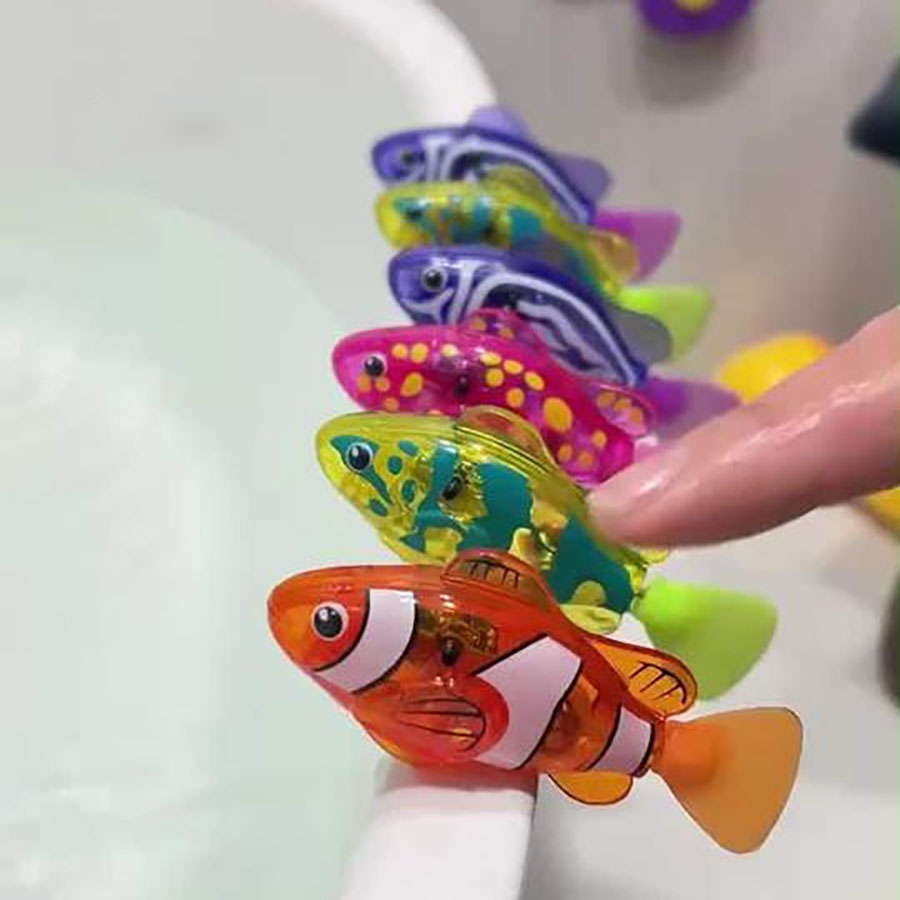 Ikan badut renang yang sensiti - Aquarium Fish Electric ulasan dan harga