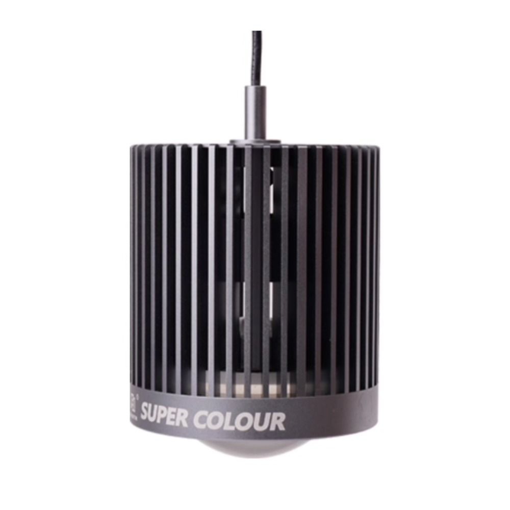 Lampu LED Downlight Mayin Supe - Aquarium Fish Colour ulasan dan harga