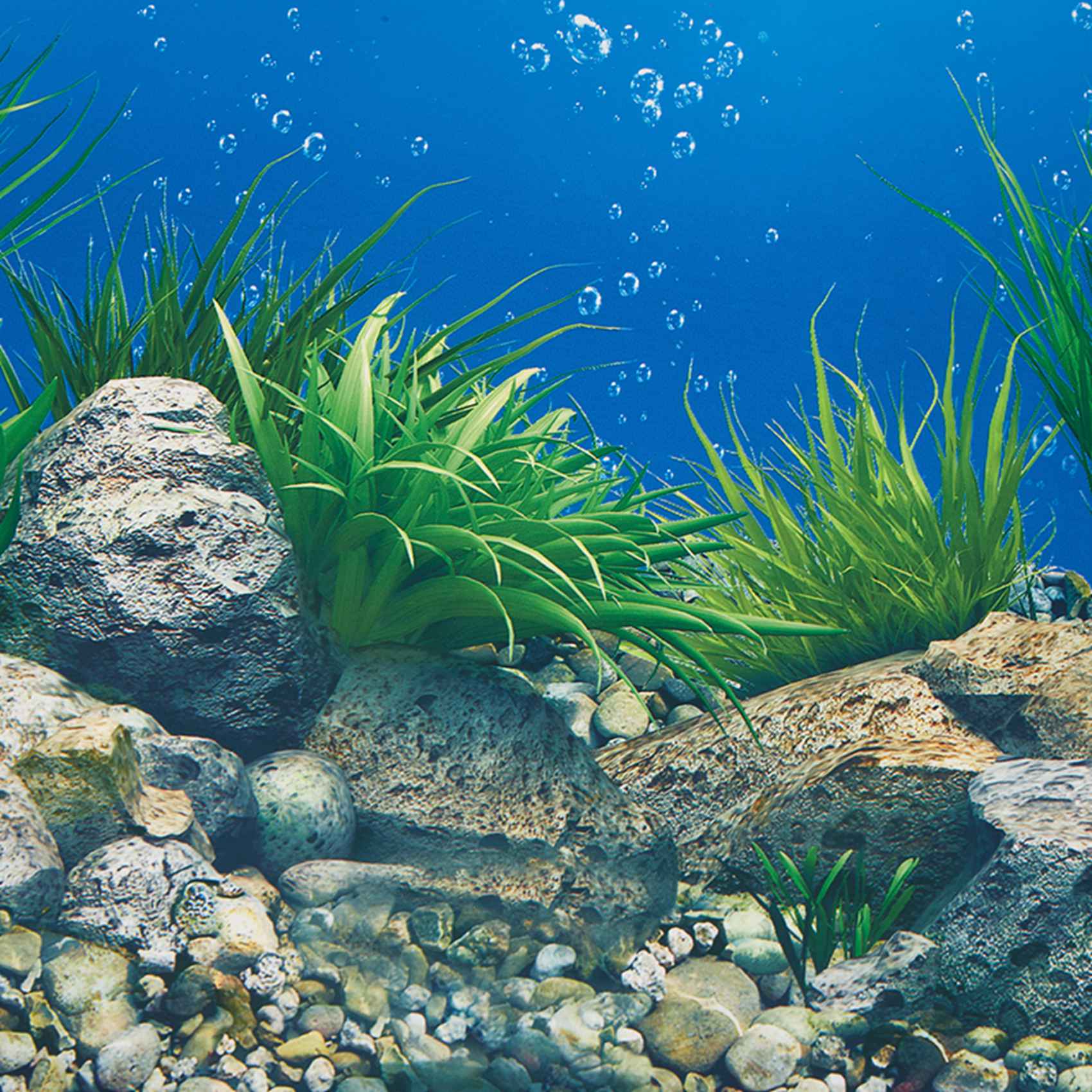 ABWR-Kertas Latar Belakang Aku - Fish In Aquarium Picture ulasan dan harga