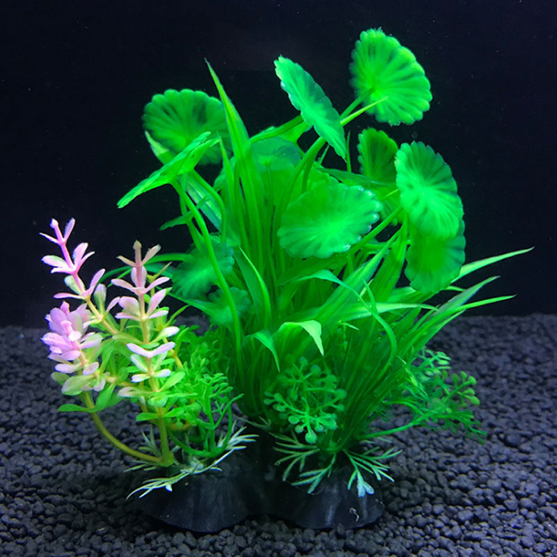 Dekorasi Akuarium Berbagai Tan - Aquarium Fish Variety ulasan dan harga
