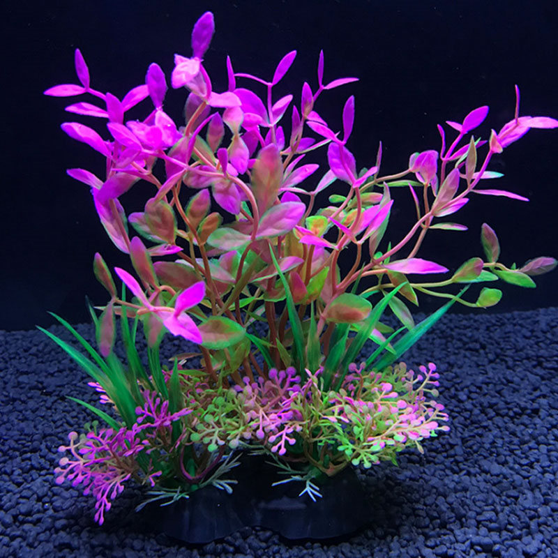 Dekorasi Akuarium Berbagai Tan - Aquarium Fish Variety ulasan dan harga