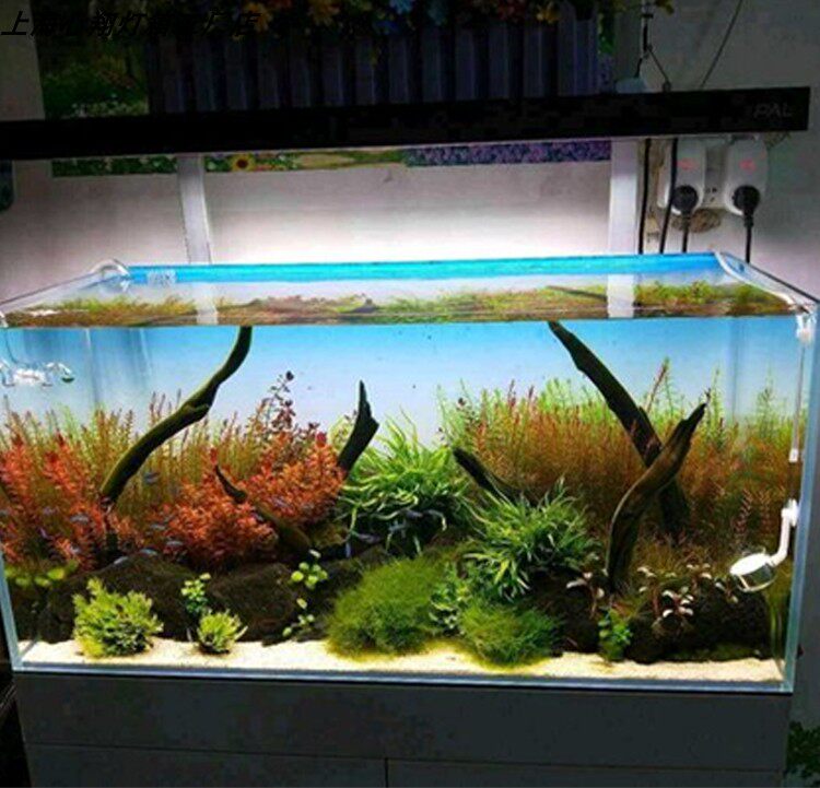 Latar Belakang Akuarium Akrili - Aquarium Fish Colour ulasan dan harga