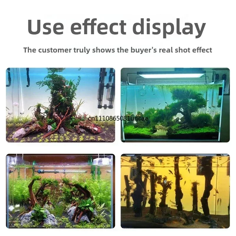 Latar Belakang Akuarium Akrili - Aquarium Fish Colour ulasan dan harga