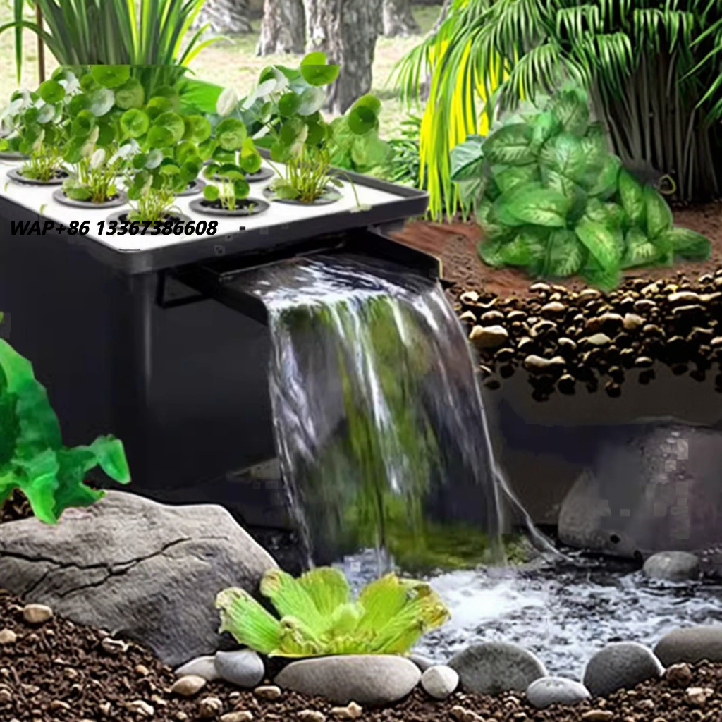 Sistem Filtrasi Air Terjun Kol - Aquarium Fish In Pond ulasan dan harga