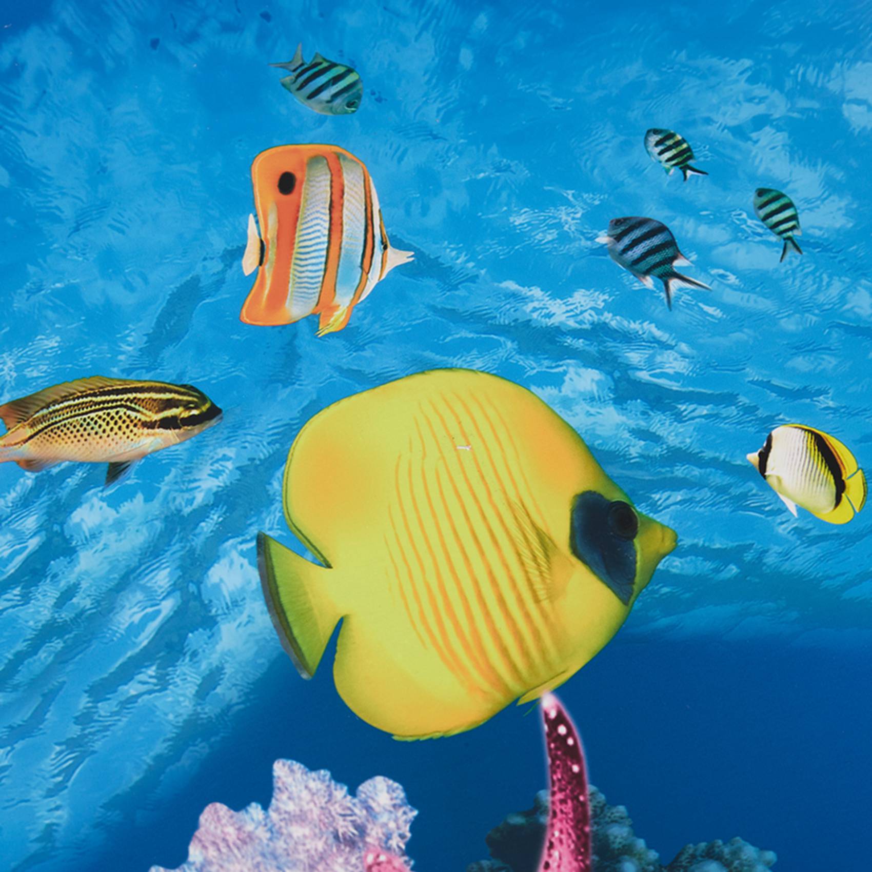 A77I Kertas Latar Belakang Aku - Fish In Aquarium Picture ulasan dan harga