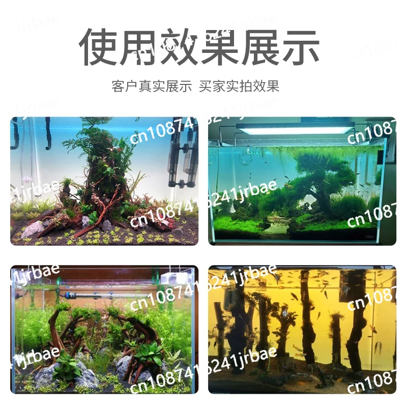 Latar Belakang Akuarium Akrili - Aquarium Fish Colour ulasan dan harga