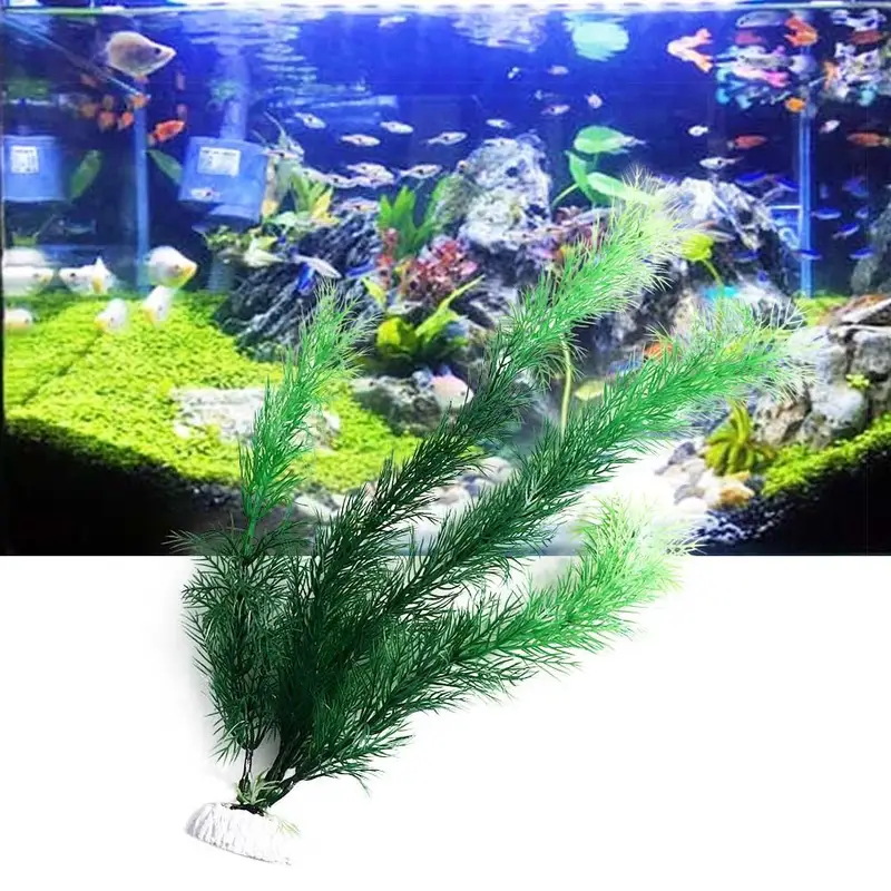 Tanaman Dekorasi Akuarium Buat - Aquarium Fish Games ulasan dan harga