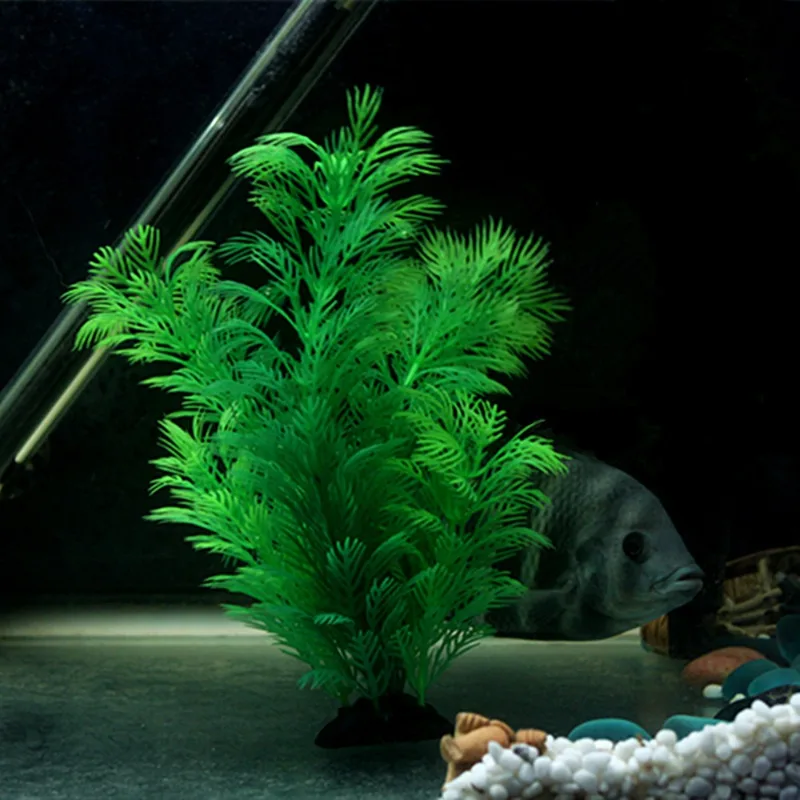 Tanaman Dekorasi Akuarium Buat - Aquarium Fish Games ulasan dan harga