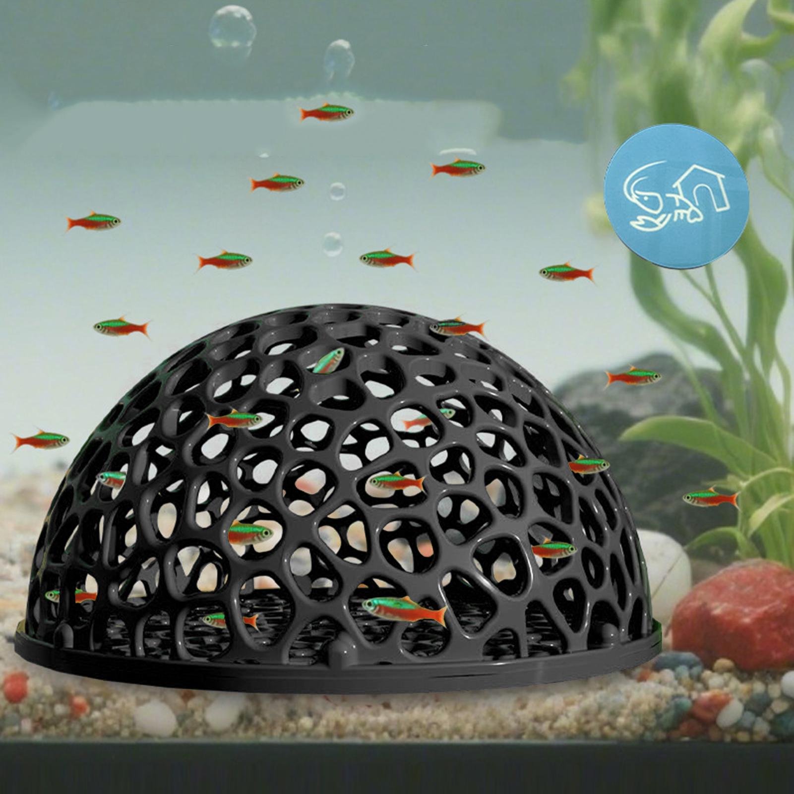 Tempat Persembunyian Tersembun - Aquarium Fish Games ulasan dan harga
