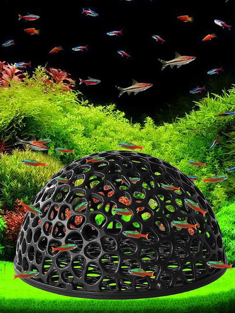 Tempat Persembunyian Tersembun - Aquarium Fish Games ulasan dan harga