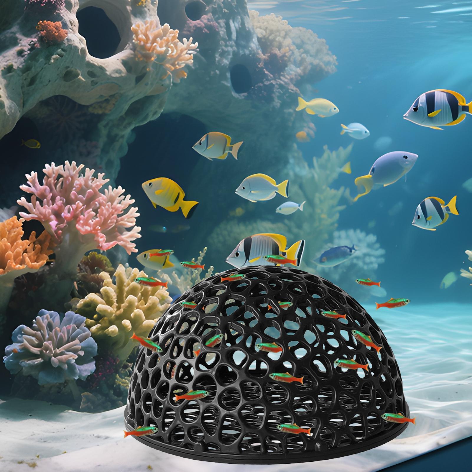 Tempat Persembunyian Tersembun - Aquarium Fish Games ulasan dan harga