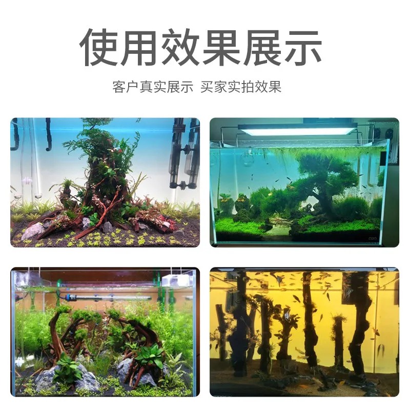 Latar Belakang Akuarium Akrili - Aquarium Fish Colour ulasan dan harga