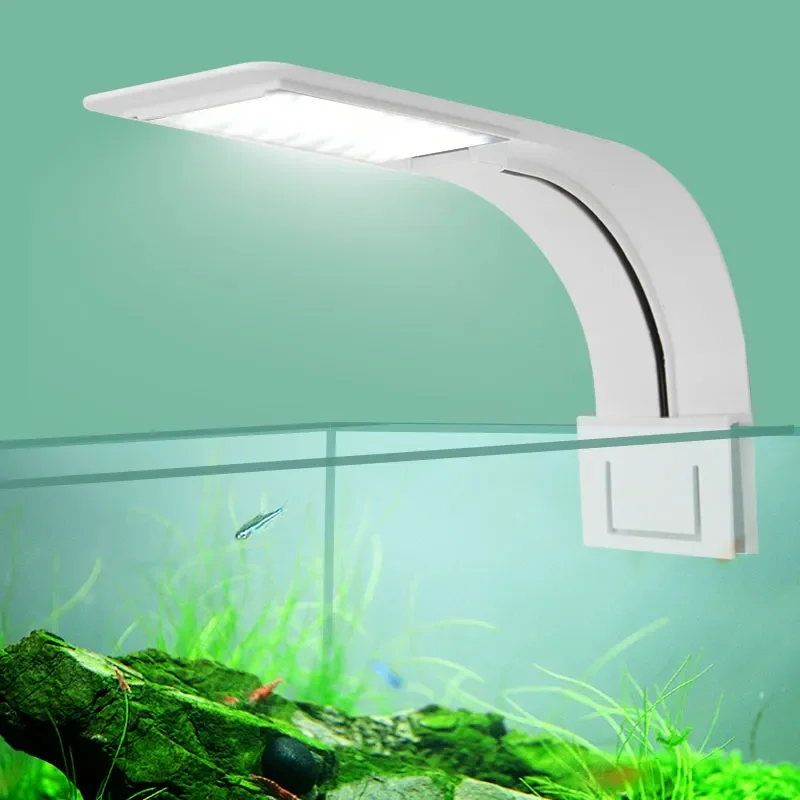 Lampu Akuarium LED Super Tipis - Fish In Aquarium Picture ulasan dan harga
