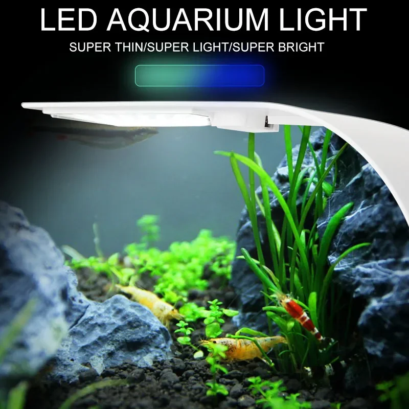 Lampu Akuarium LED Super Tipis - Fish In Aquarium Picture ulasan dan harga