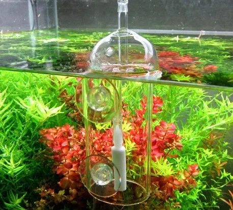 VIV Do perangkat akuarium kaca - Aquarium Fish Store ulasan dan harga