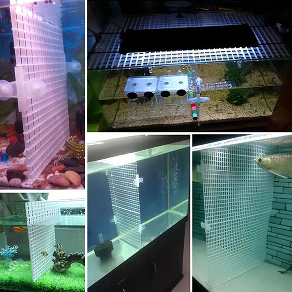 Pelat Isolasi Akuarium 30x15/3 - Tank Divider Mesh ulasan dan harga