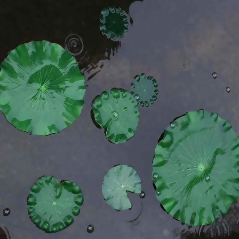 Daun Teratai Buatan 2026 Tanpa - Aquarium Fish In Pond ulasan dan harga