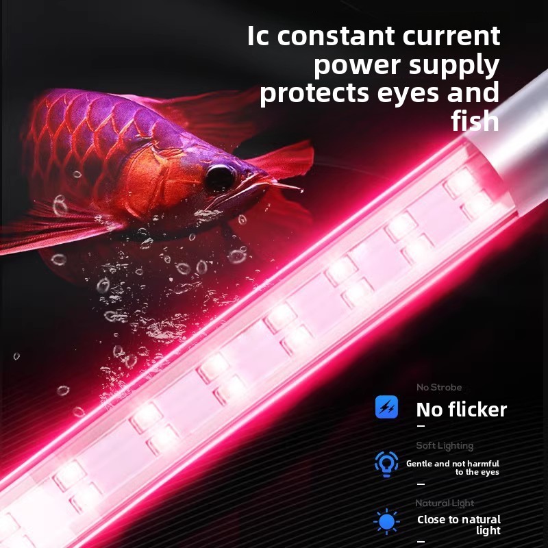 Lampu Akuarium LED Spektrum Pe - Aquarium Fish Discus ulasan dan harga