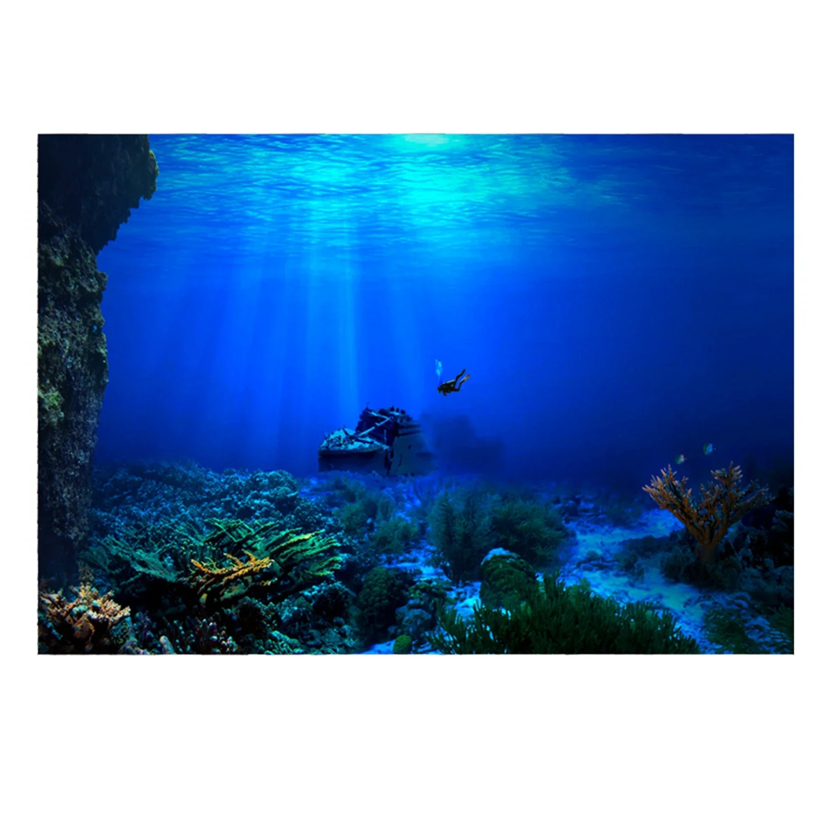 Hutan hujan akuarium Poster la - Fish In Aquarium Picture ulasan dan harga