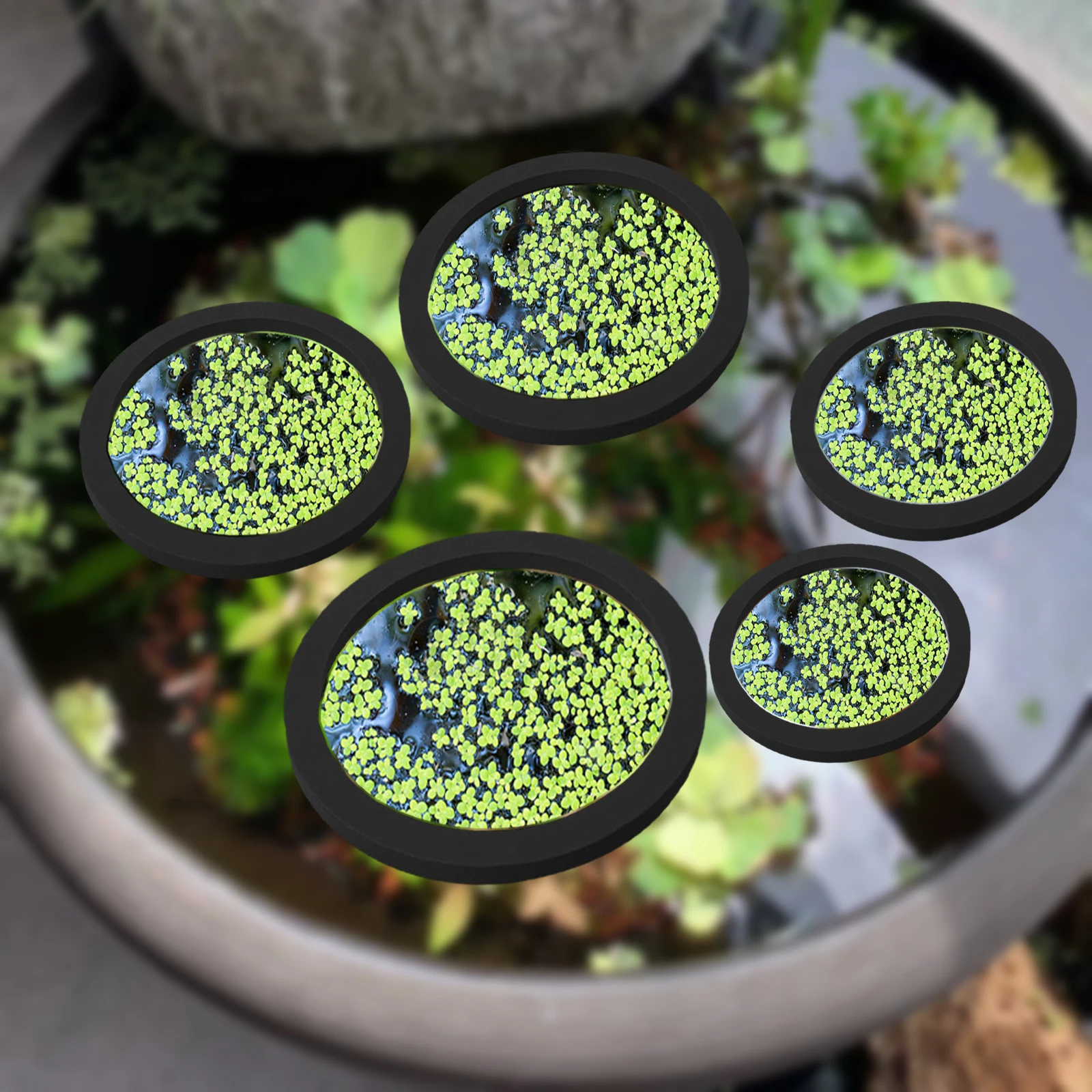 5 buah EVA cincin pemberi maka - Aquarium Fish In Pond ulasan dan harga