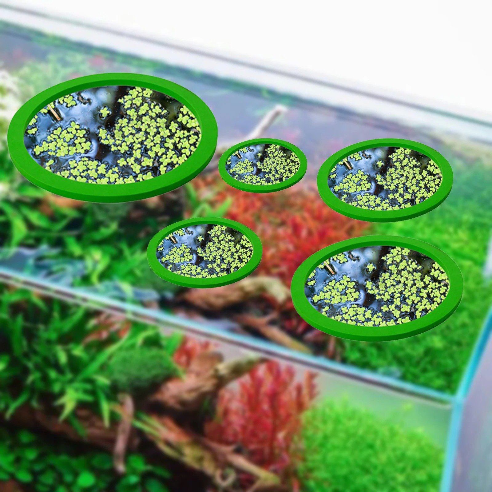 5 buah EVA cincin pemberi maka - Aquarium Fish In Pond ulasan dan harga