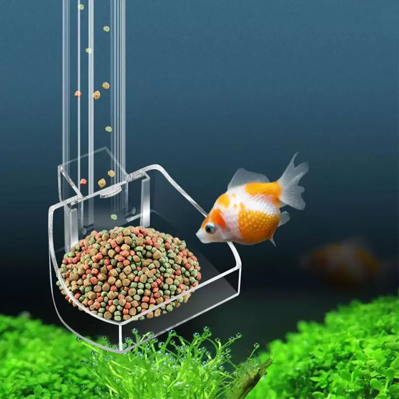 Tabung pemberi makan akuarium  - Aquarium Fish Variety ulasan dan harga