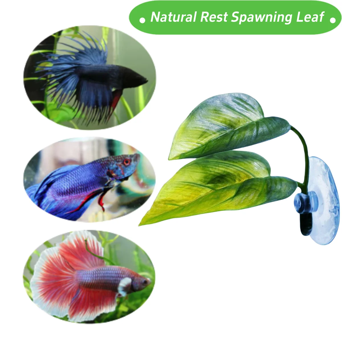 Dekorasi Akuarium Ikan Hias, T - Aquarium Fish Games ulasan dan harga