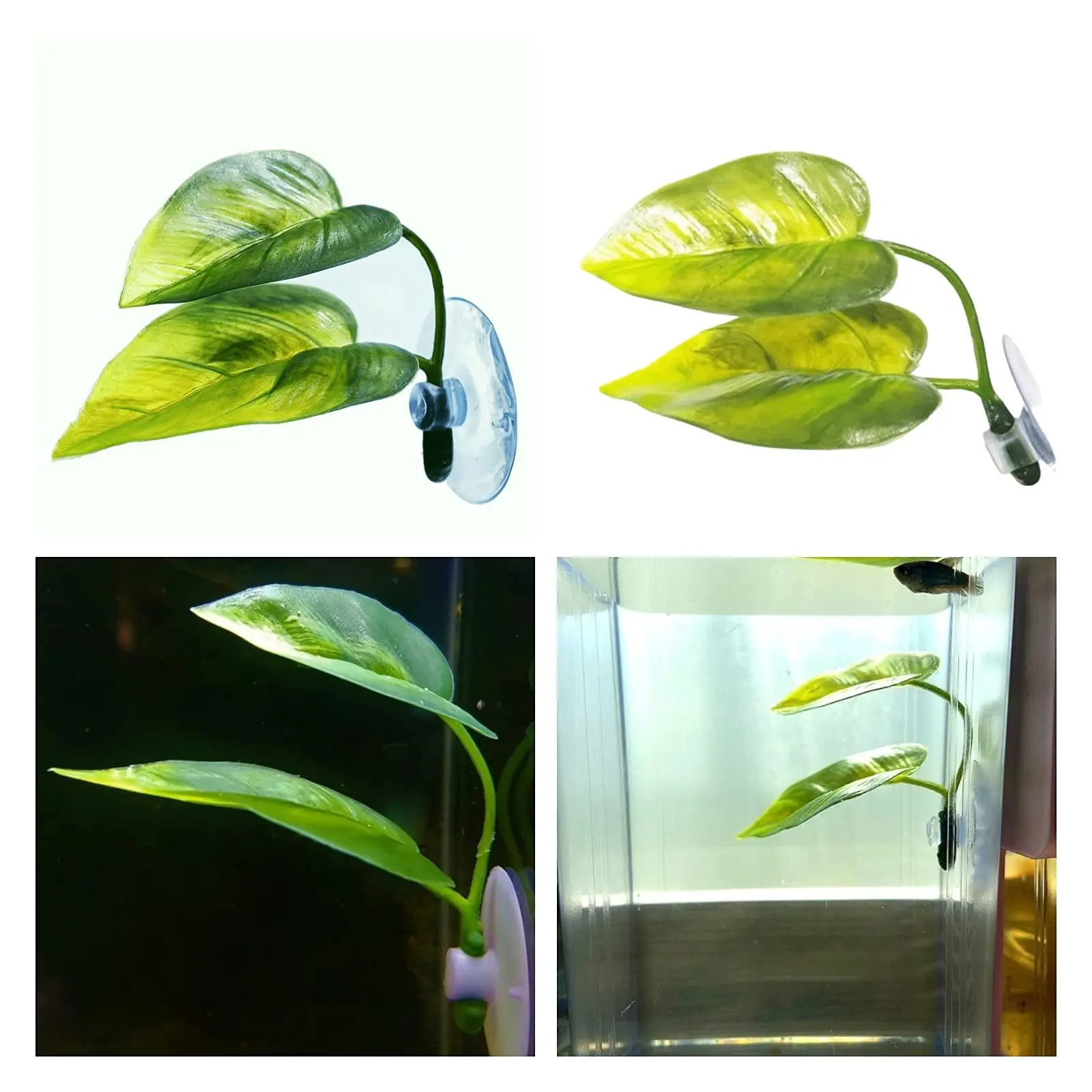Dekorasi Akuarium Ikan Hias, T - Aquarium Fish Games ulasan dan harga
