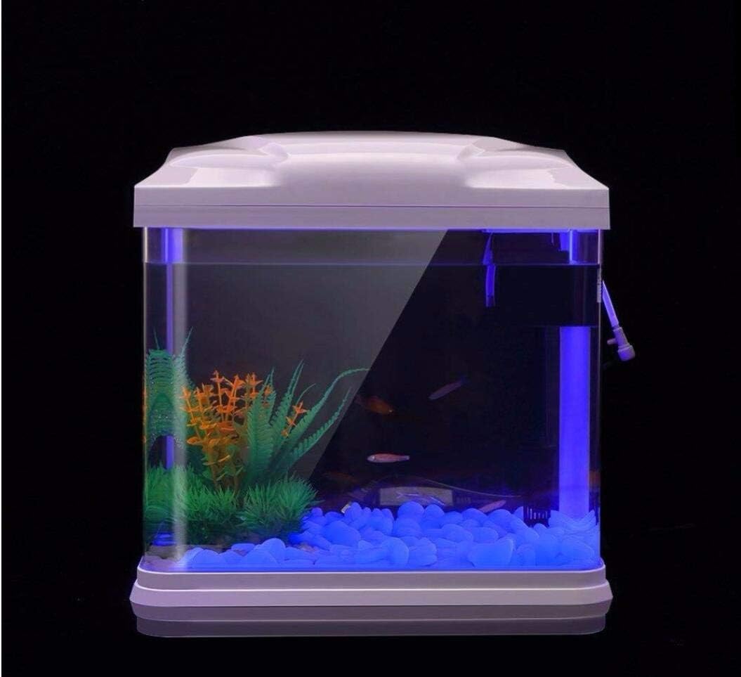 Batu Tangki Ikan Kerikil Biru  - Aquarium Fish Store ulasan dan harga
