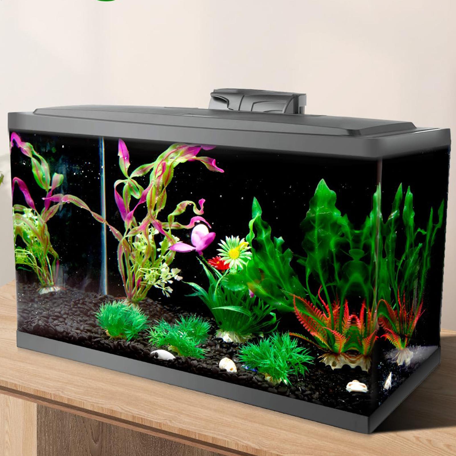 Gambar Latar Belakang Akuarium - Fish In Aquarium Picture ulasan dan harga