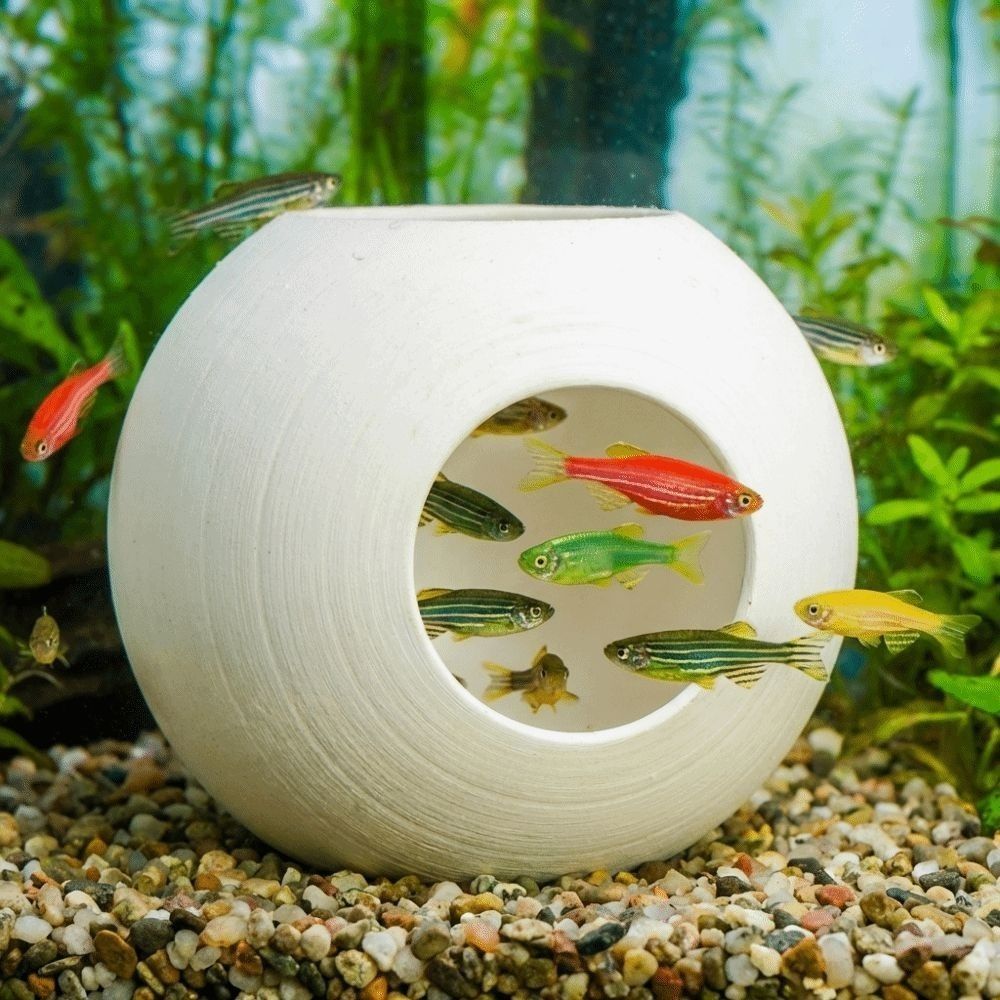 Gua Persembunyian Ikan Plastik - Aquarium Fish Discus ulasan dan harga