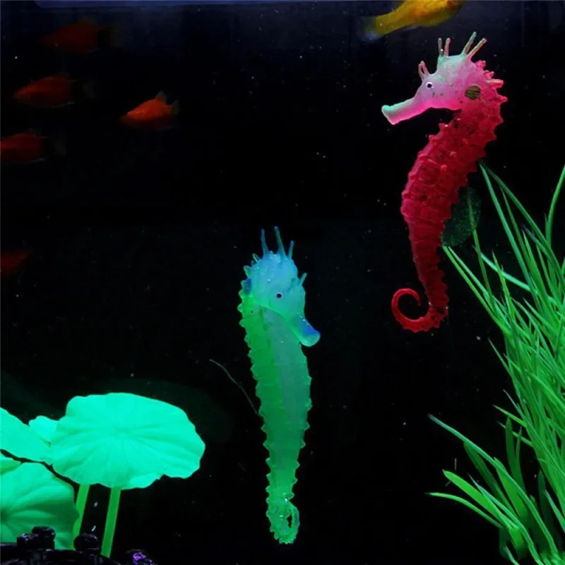 Buatan Aquarium Kuda Laut Hipp - Aquarium Fish Discus ulasan dan harga