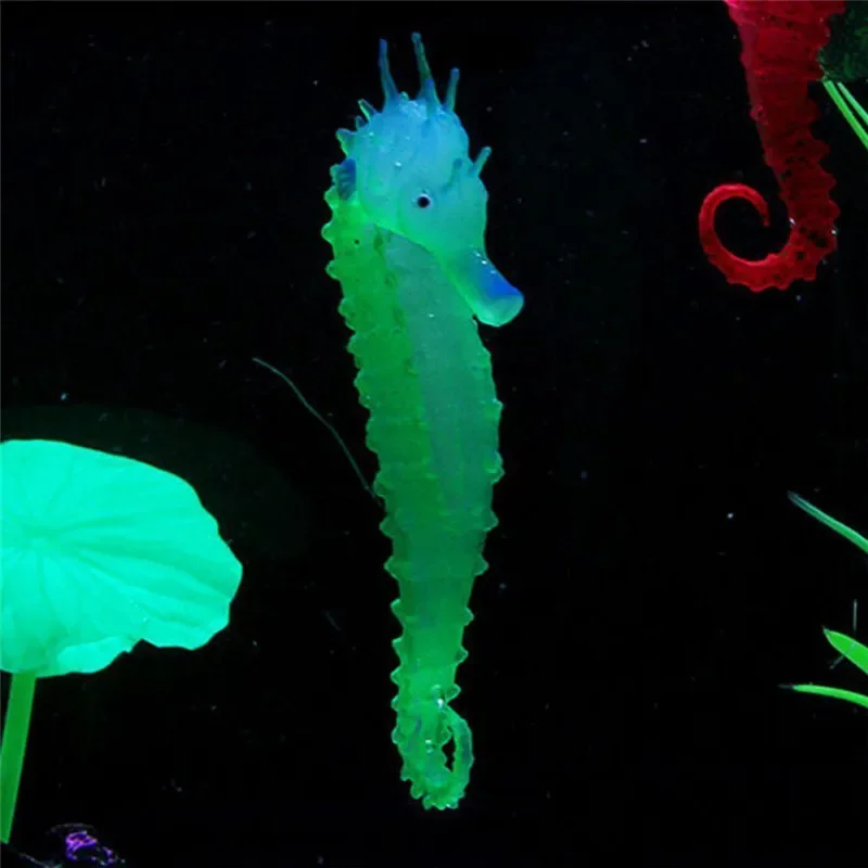 Buatan Aquarium Kuda Laut Hipp - Aquarium Fish Discus ulasan dan harga