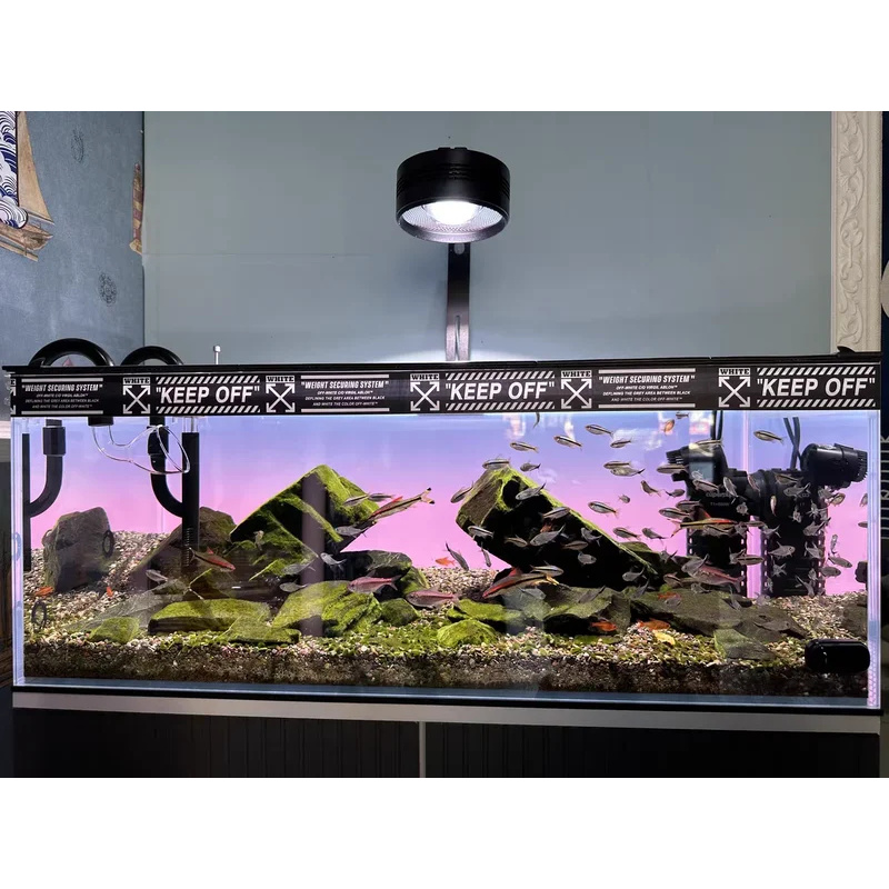 Latar Belakang Akuarium Akrili - Aquarium Fish Colour ulasan dan harga