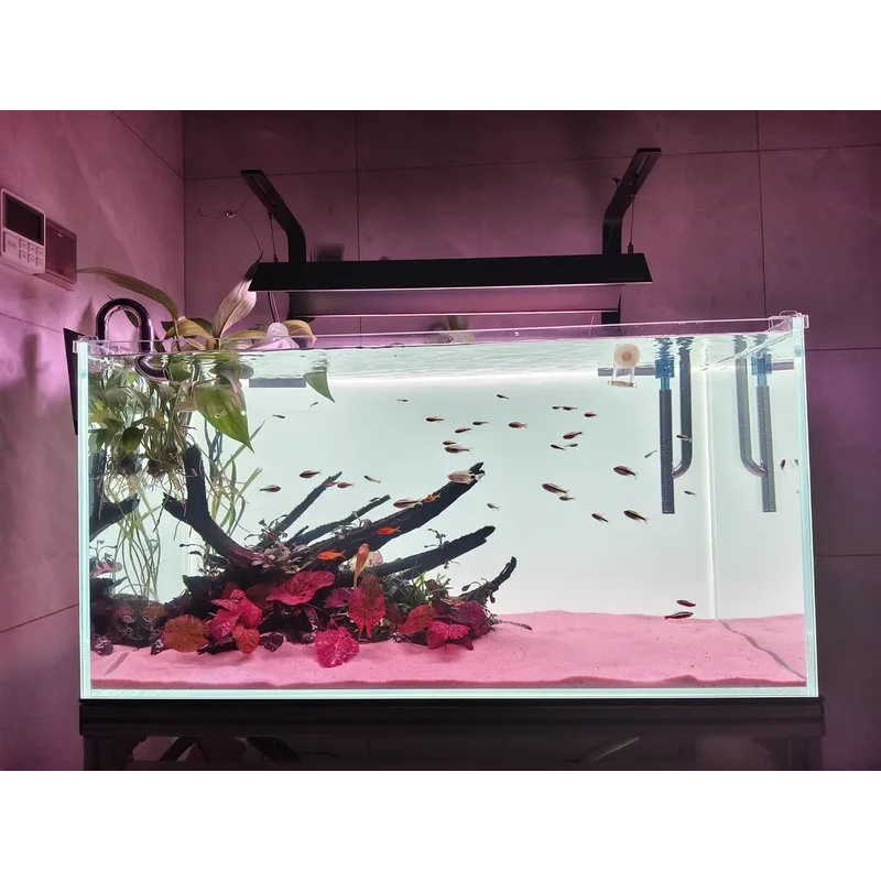 Latar Belakang Akuarium Akrili - Aquarium Fish Colour ulasan dan harga