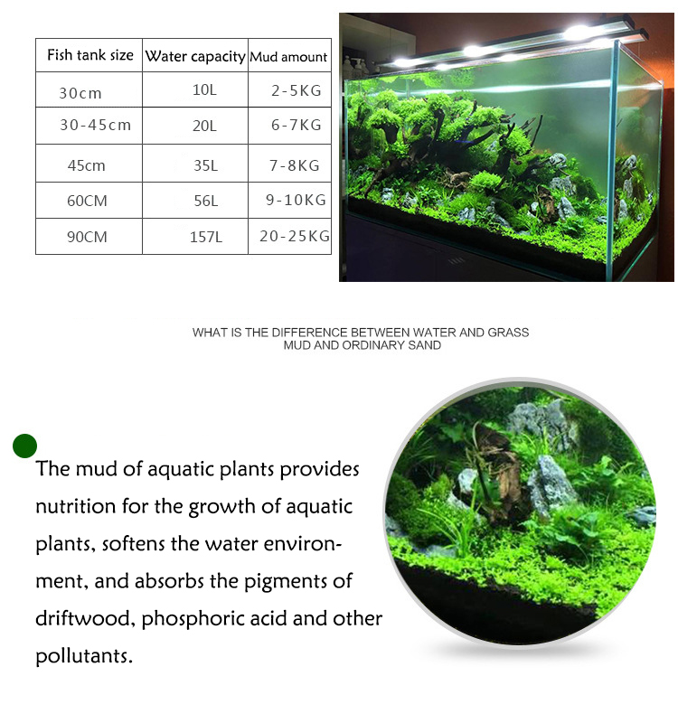 Bibit Tanaman Akuarium Tanah T - Aquarium Fish Store ulasan dan harga