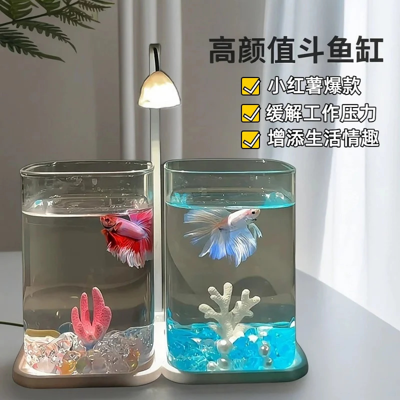 Akuarium Mini Ikan Cupang Kaca - Fish Toy In Aquarium ulasan dan harga