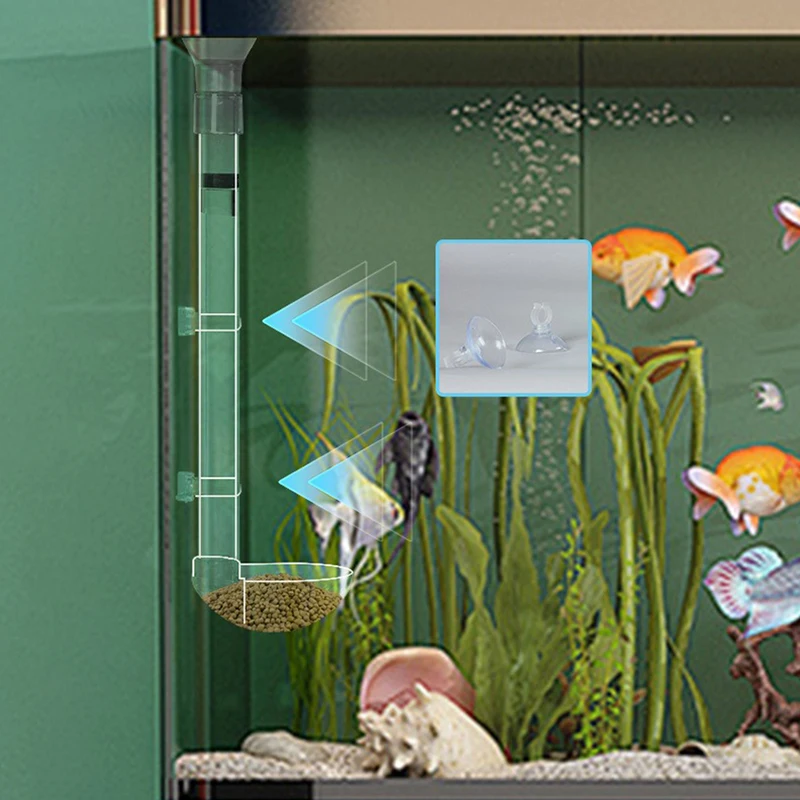 Tabung Makan Akrilik Akuarium  - Aquarium Fish Variety ulasan dan harga