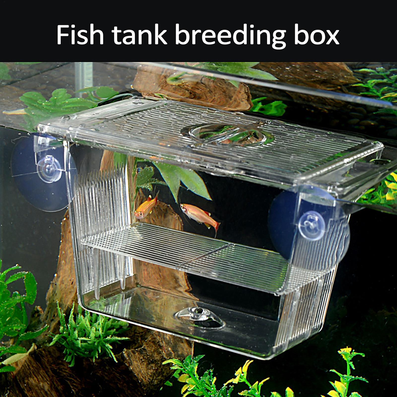 Kotak Pembiakan untuk Akuarium - Fish Toy In Aquarium ulasan dan harga