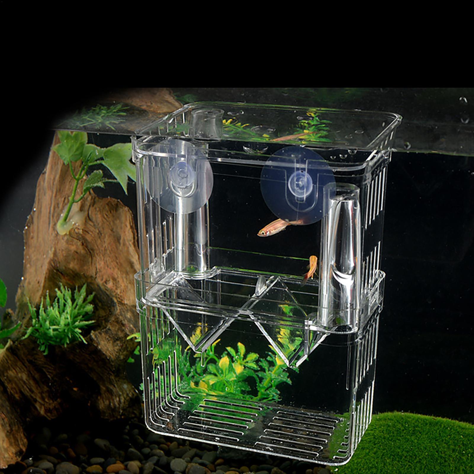 Kotak Pembiakan untuk Akuarium - Fish Toy In Aquarium ulasan dan harga