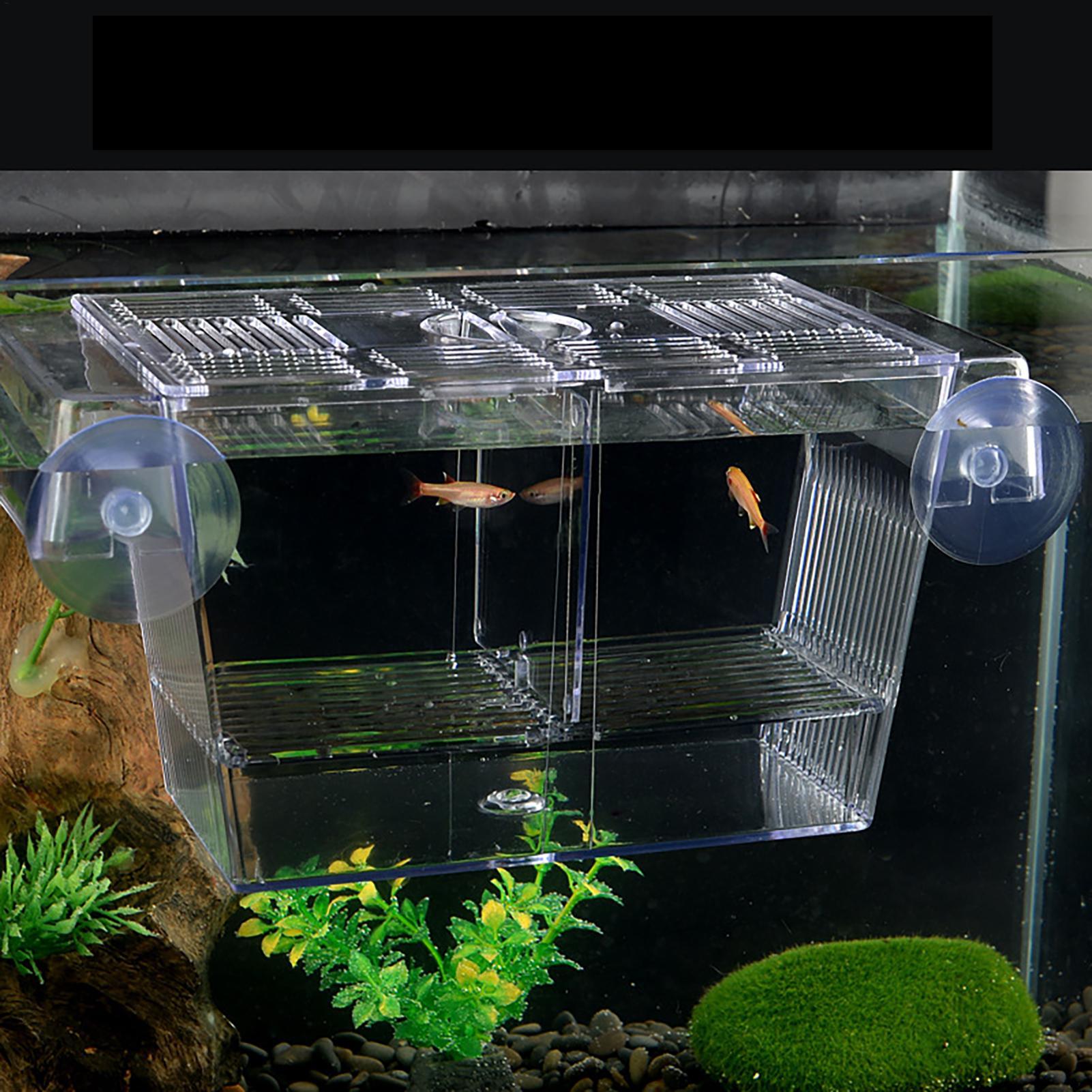 Kotak Pembiakan untuk Akuarium - Fish Toy In Aquarium ulasan dan harga