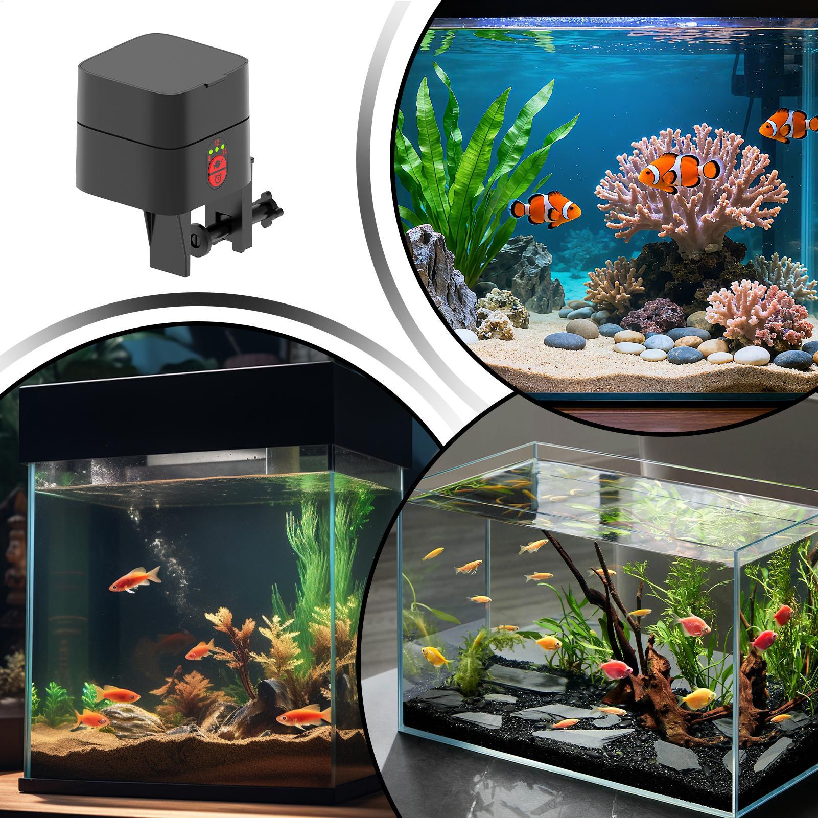 Pengumpan Ikan Otomatis untuk  - Fish Toy In Aquarium ulasan dan harga