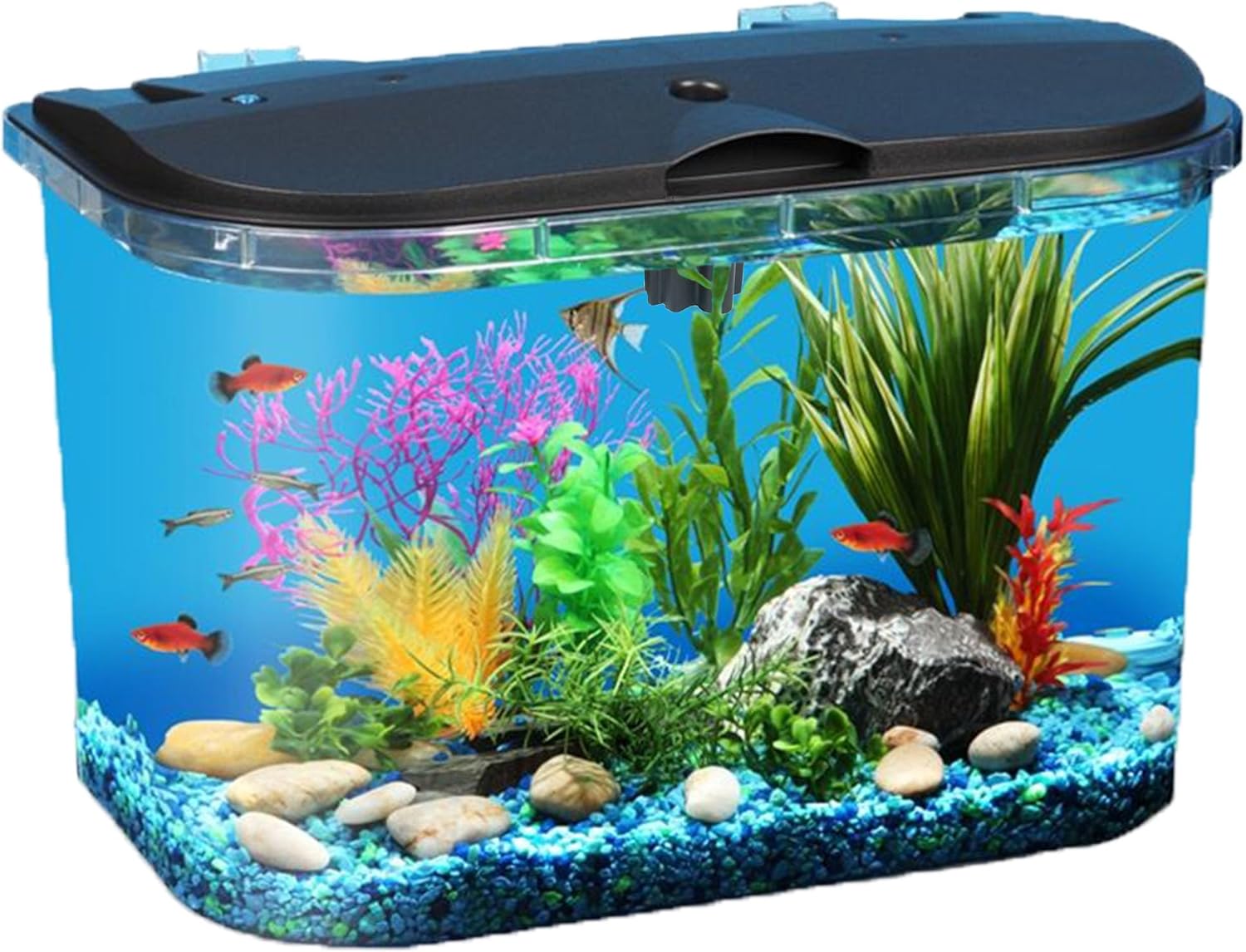 Kit Akuarium 5-Galon dengan La - Aquarium Fish Variety ulasan dan harga
