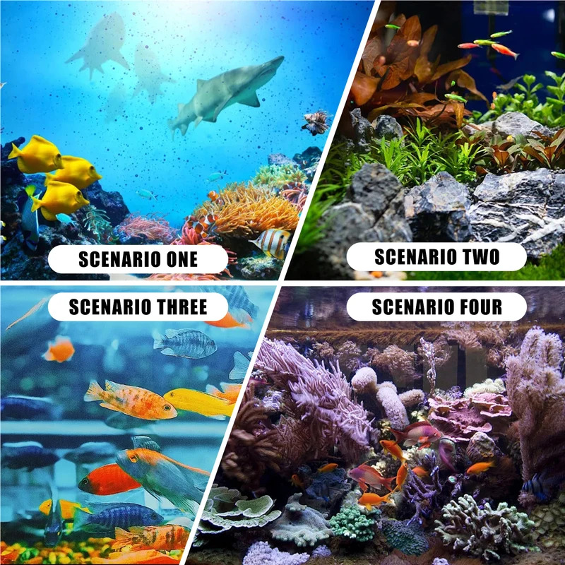 Akuarium Karang Simulasi Buata - Aquarium Fish Colour ulasan dan harga