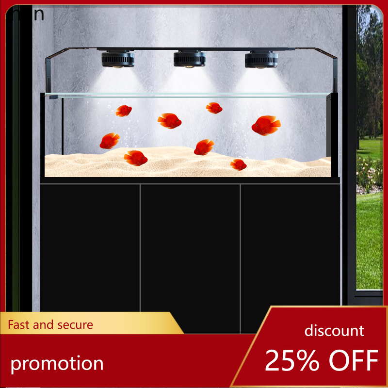 Akuarium Koleksi Ikan Liar Asl - Wild Aquarium Fish ulasan dan harga