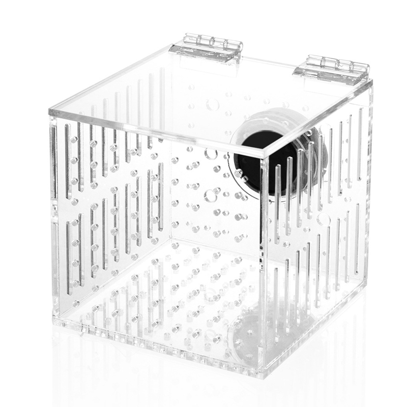 Sumber Laut Kotak Isolasi Akri - Tank Divider Mesh ulasan dan harga